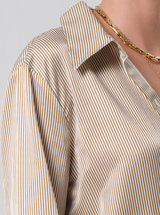 CAMILIA SHIRT IN BRONZE STRIPE