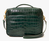 Mirabel - Autumn Croco in Deep Pine