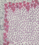 KERRY HEARTS SCARF
