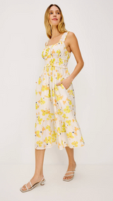 RAFAELLA IN TOSSED DAFFODILS